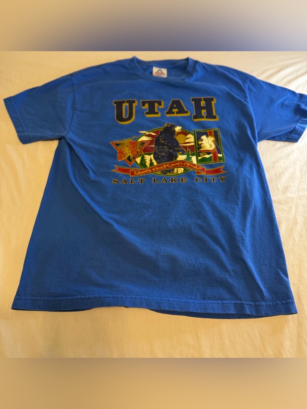 Utah Salt Lake City Graphic Tee - Blue